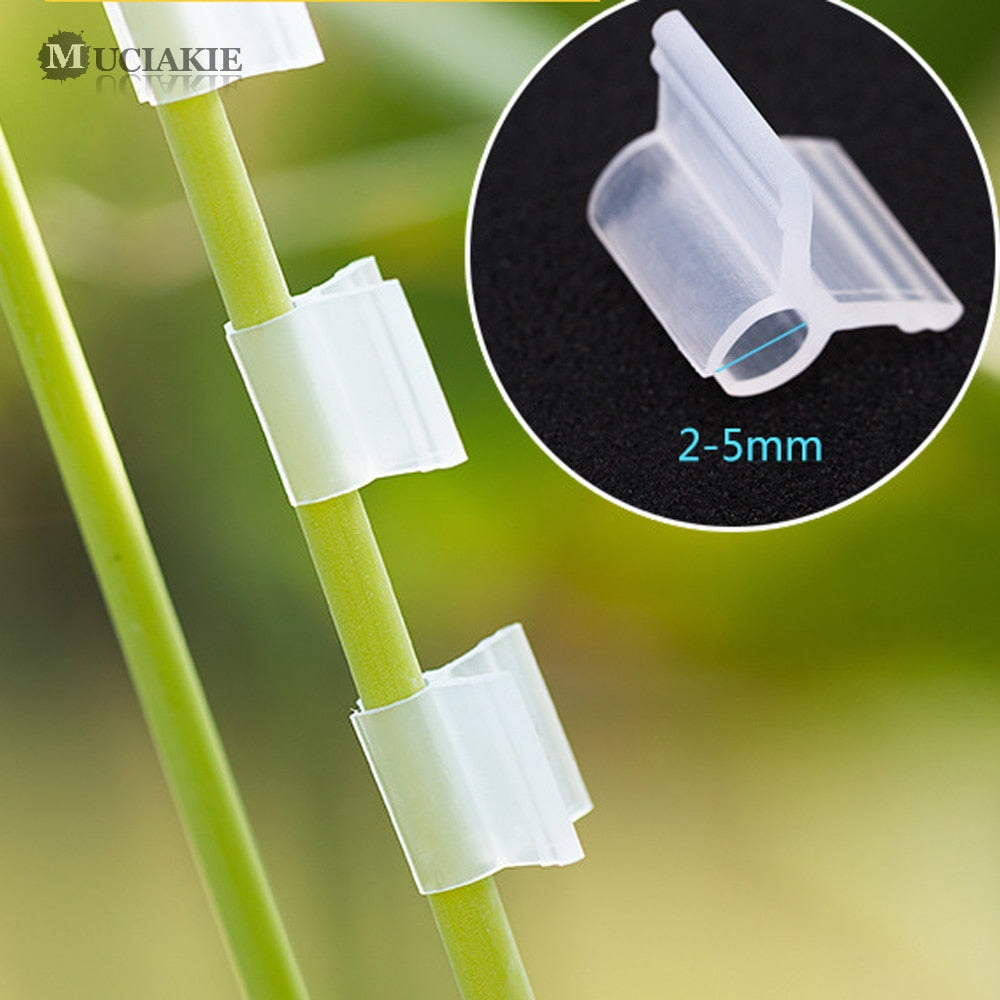 MUCIAKIE 200PCS White Horticultural Grafting Clip for 2-5mm Round Tube Stake Garden Retaining Clip for Greenhouse Frame Pipe