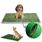 Load image into Gallery viewer, Pet Dog Cat Artificial Grass Toilet Mat Indoor Potty Trainer Grass Turf Pad Pet Supplies
